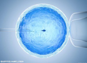 关于人工志愿者供卵咨询费用多少
